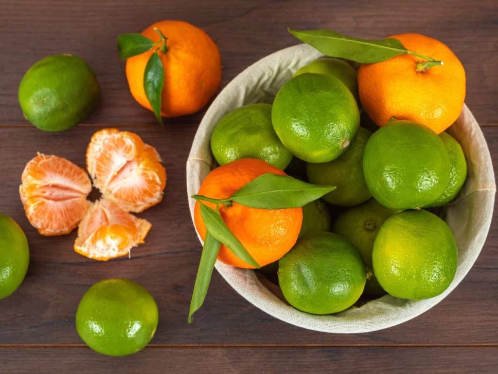 jeruk dan Buah-buahan Citrus tubuh sehat